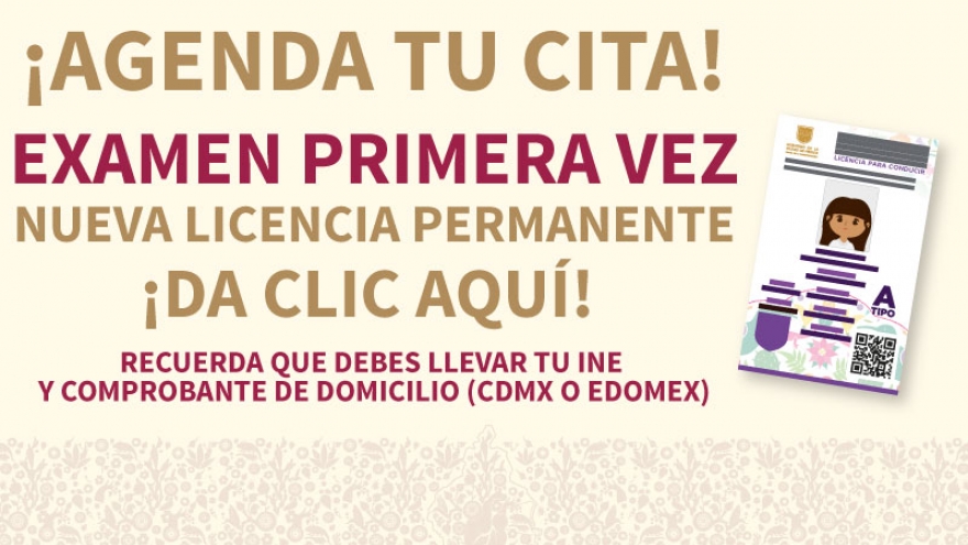 Licencia permanente